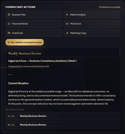Consultant Review tool showing a generated, structured business document output